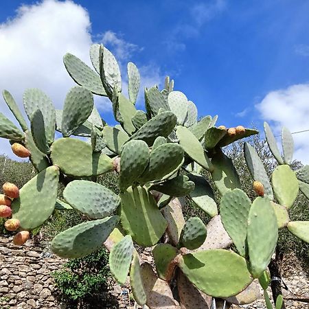 Le Drupe Chiavari Exterior foto